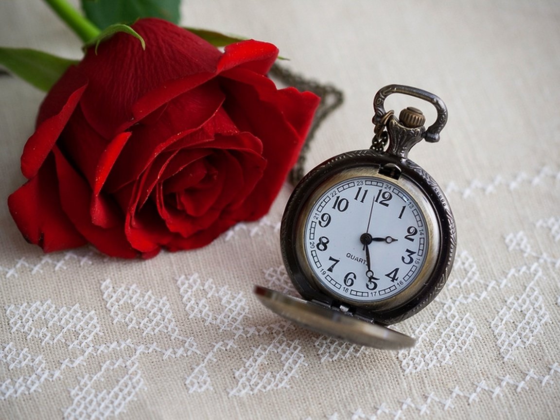 Обои цветок, роза, часы, время, времени, циферблат, цветком, clock, flower, rose, watch, time, dial разрешение 1920x1282 Загрузить