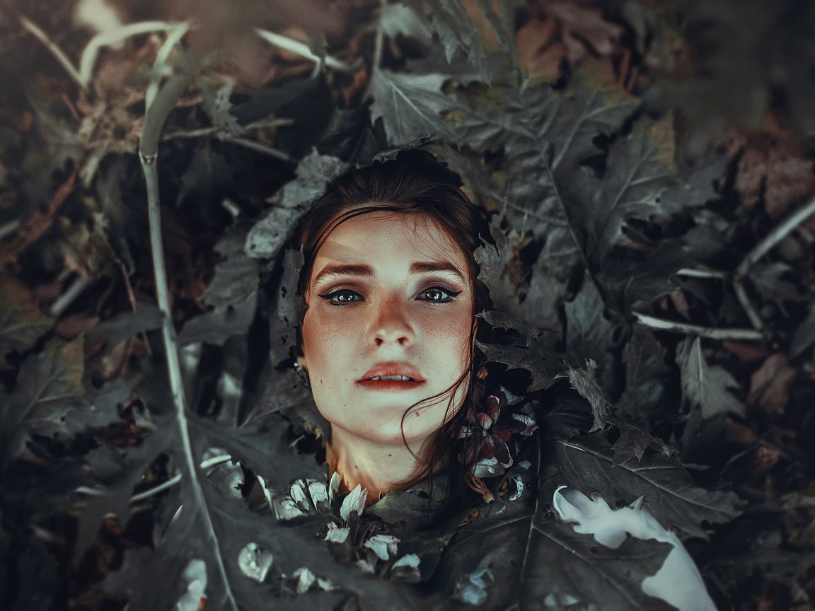 Обои листья, портрет, лицо, ronny garcia, rotten leaves, leaves, portrait, face разрешение 2048x1366 Загрузить