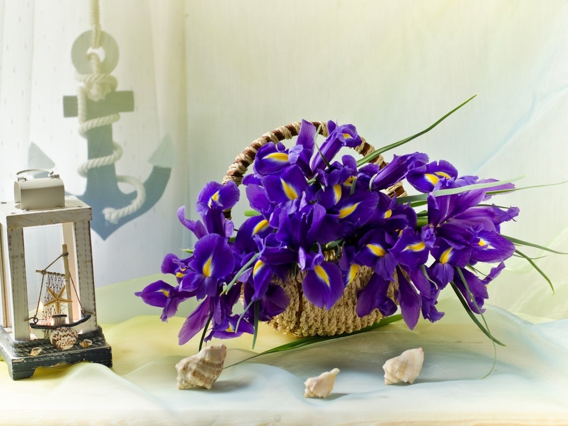 Обои ракушки, корзинка, ирисы, якорь, shell, basket, irises, anchor разрешение 1920x1263 Загрузить