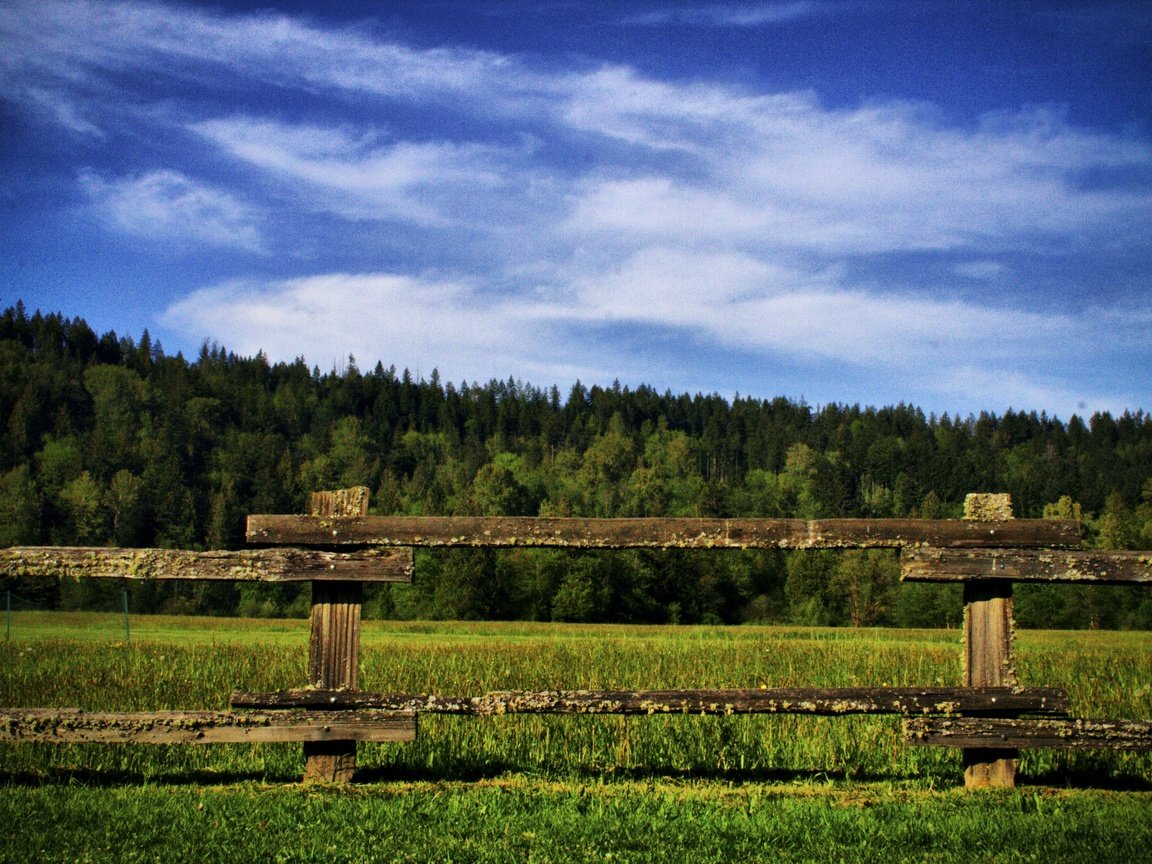 Обои трава, деревья, природа, зелень, поле, забор, на природе, грин, grass, trees, nature, greens, field, the fence, green разрешение 2880x1918 Загрузить