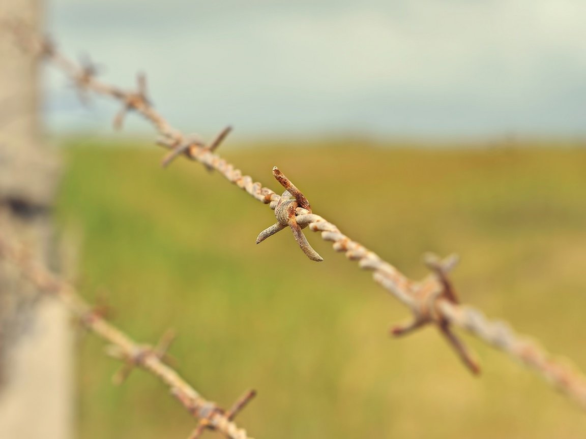 Обои макро, проволока, забор, колючая проволока, ржавая, macro, wire, the fence, barbed wire, rusty разрешение 2048x1356 Загрузить