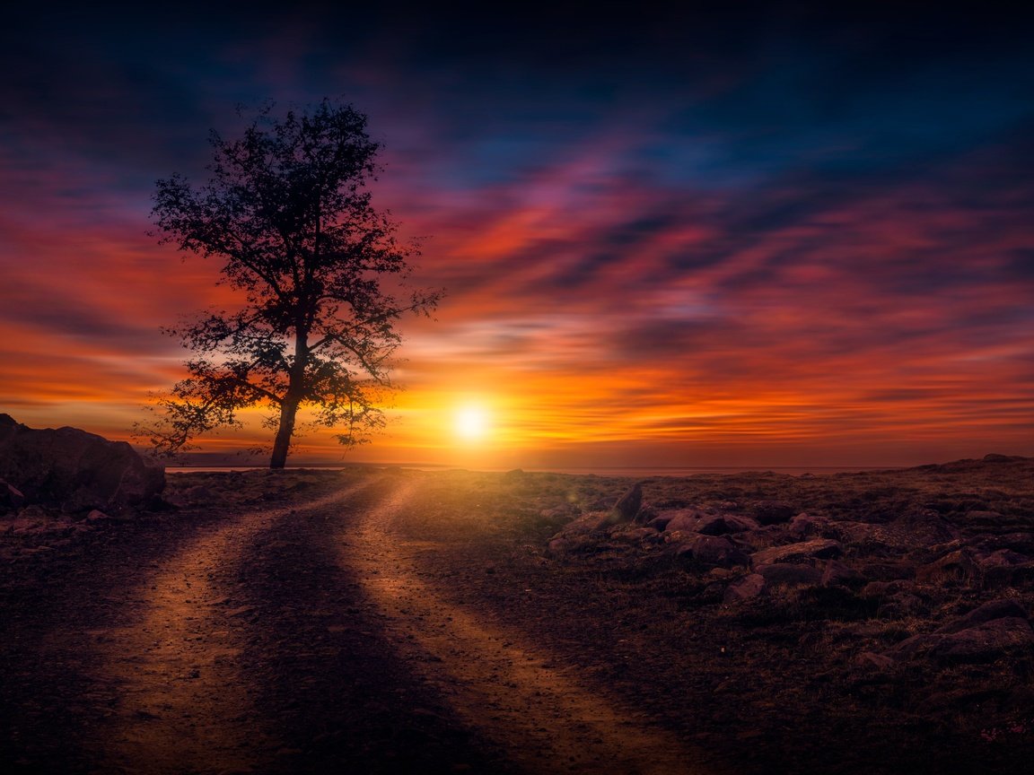 Обои небо, дорога, солнце, природа, дерево, закат, the sky, road, the sun, nature, tree, sunset разрешение 7059x4206 Загрузить