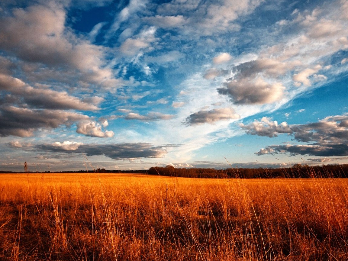 Обои небо, трава, облака, поле, the sky, grass, clouds, field разрешение 1920x1080 Загрузить