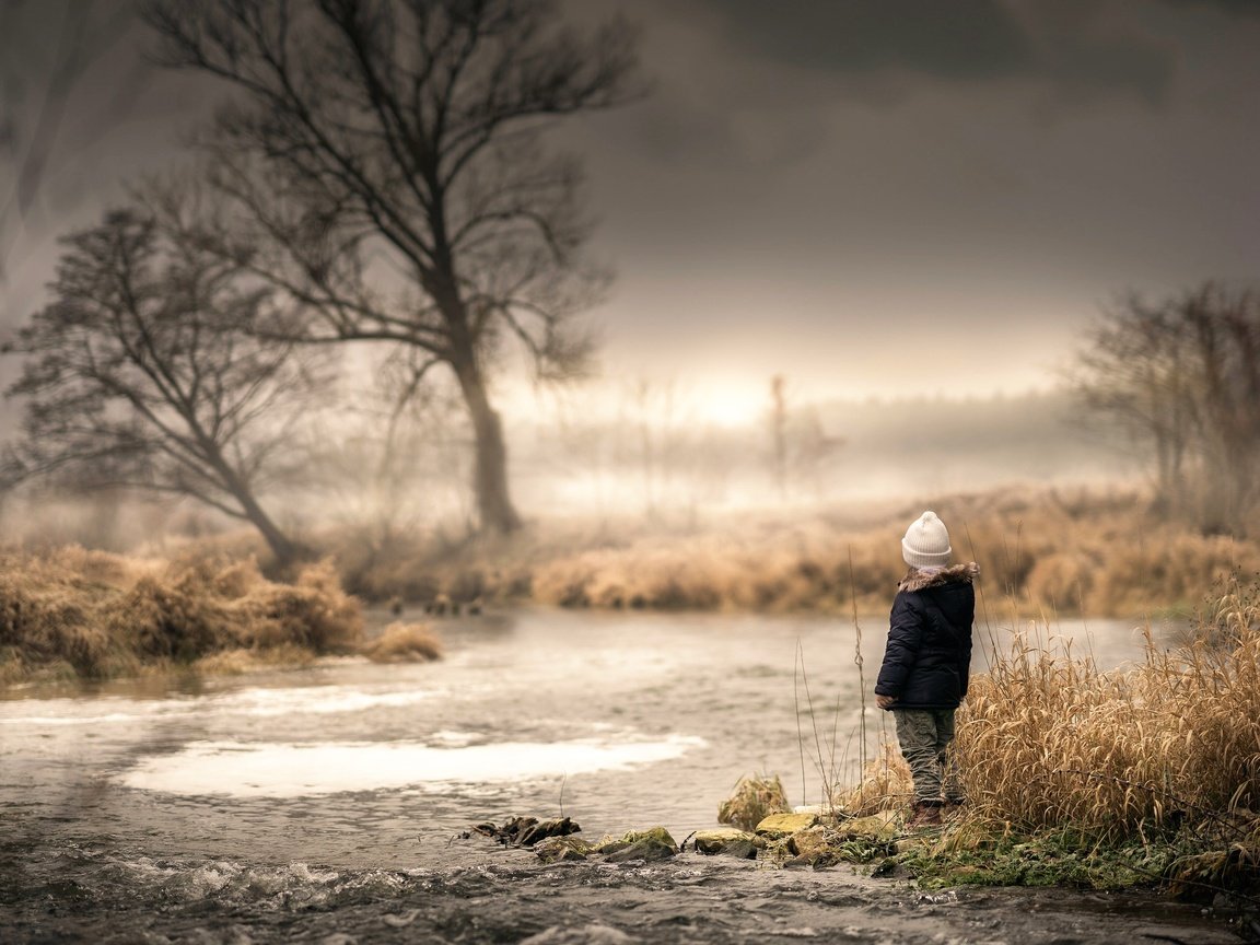 Обои вода, дерево, ручей, дети, ребенок, течение, сухостой, water, tree, stream, children, child, for, deadwood разрешение 2048x2042 Загрузить