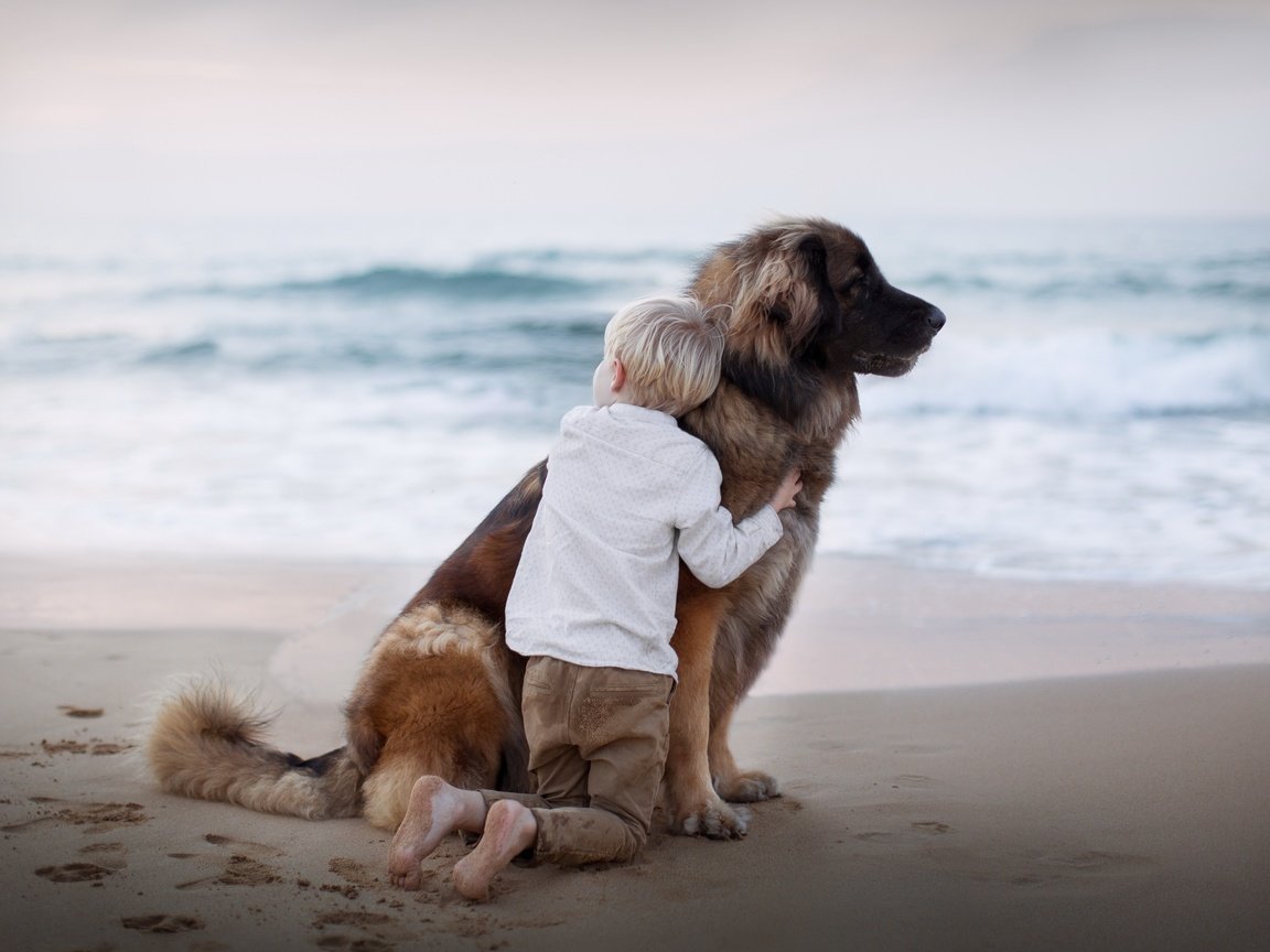 Обои море, песок, пляж, собака, следы, ребенок, мальчик, друзья, sea, sand, beach, dog, traces, child, boy, friends разрешение 2880x1800 Загрузить