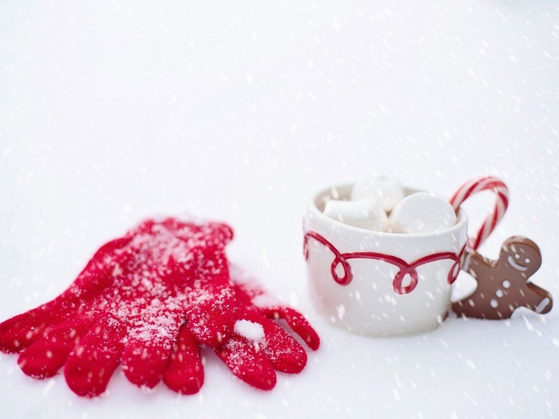 Обои снег, зима, кружка, перчатки, горячий шоколад, маршмеллоу, имбирный пряник, snow, winter, mug, gloves, hot chocolate, marshmallows разрешение 1920x1280 Загрузить