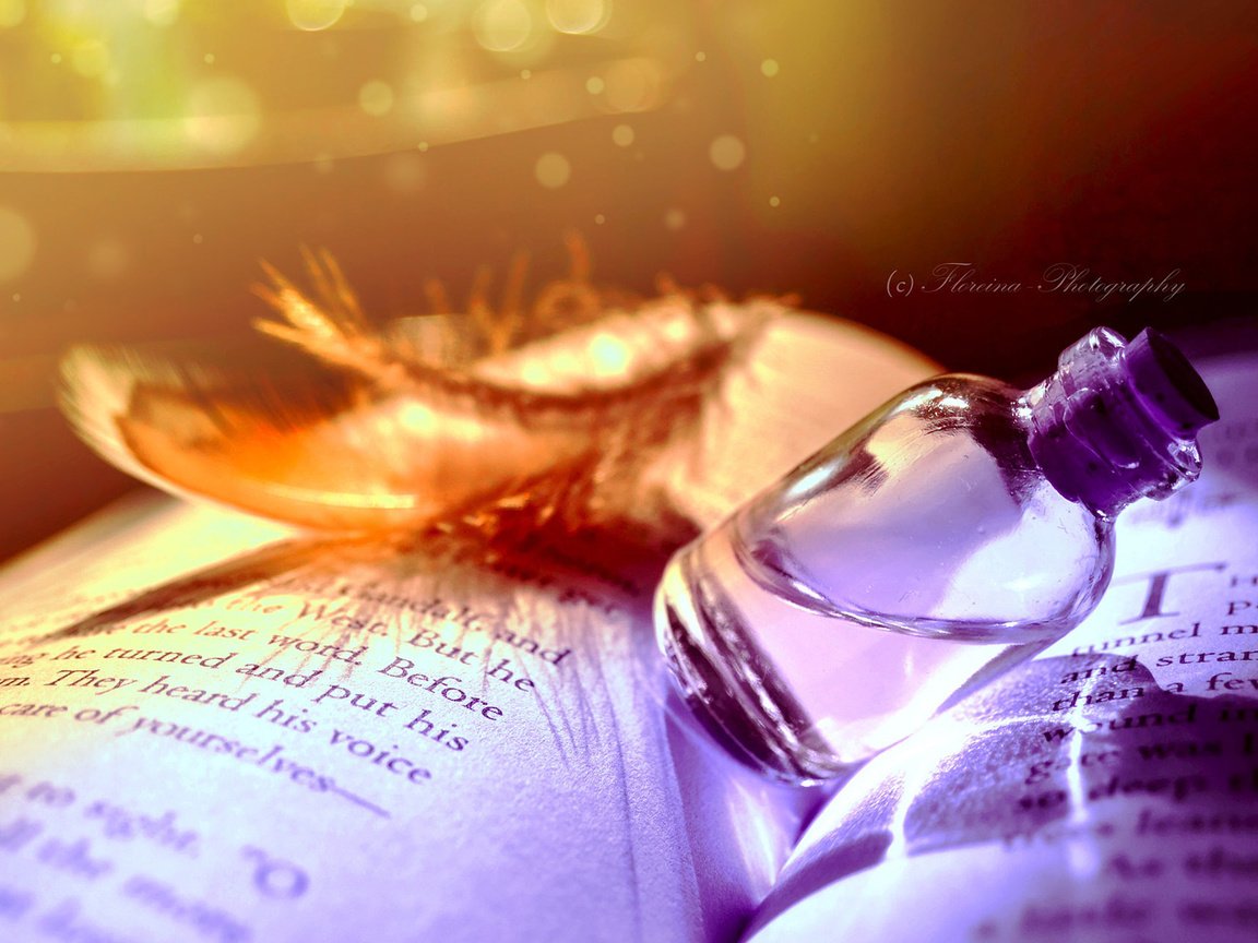 Обои книга, бутылочка, флакон, перышко, эликсир, book, bottle, a feather, elixir разрешение 1920x1200 Загрузить