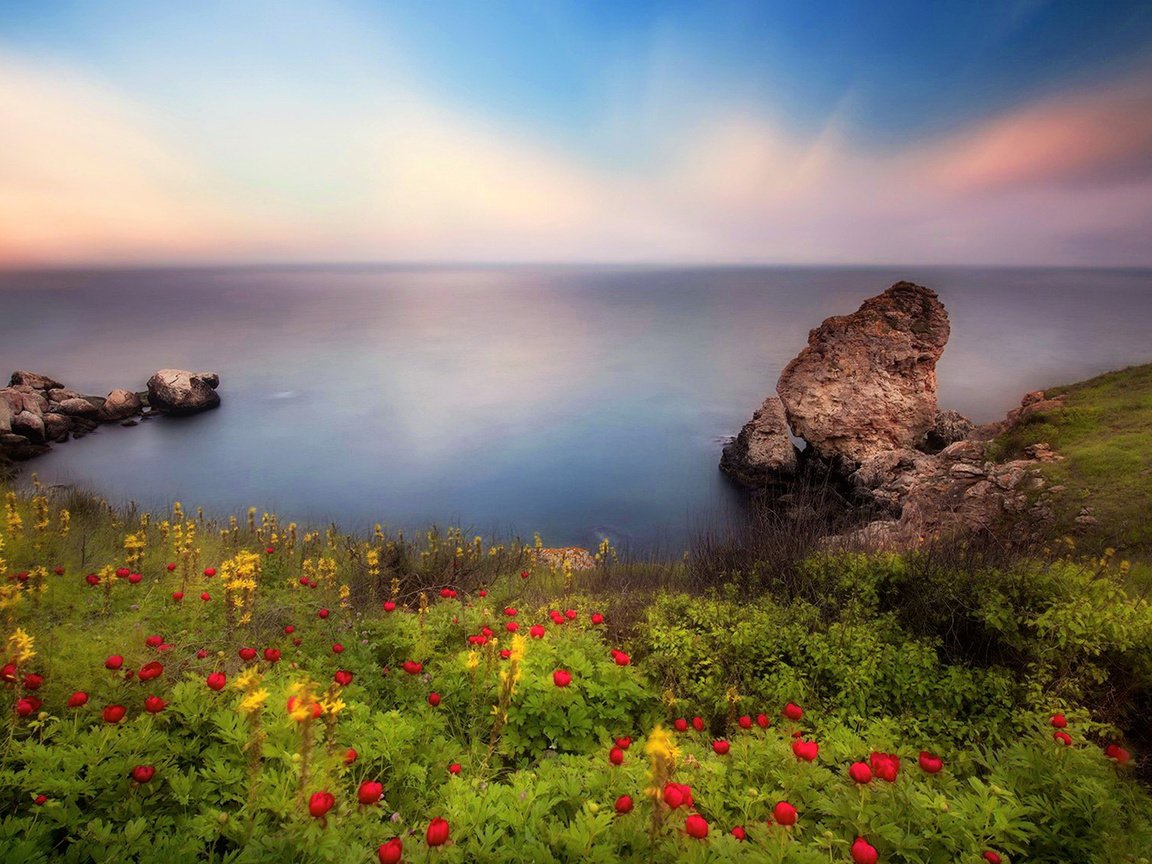Обои небо, цветы, скалы, берег, пейзаж, море, the sky, flowers, rocks, shore, landscape, sea разрешение 1920x1080 Загрузить