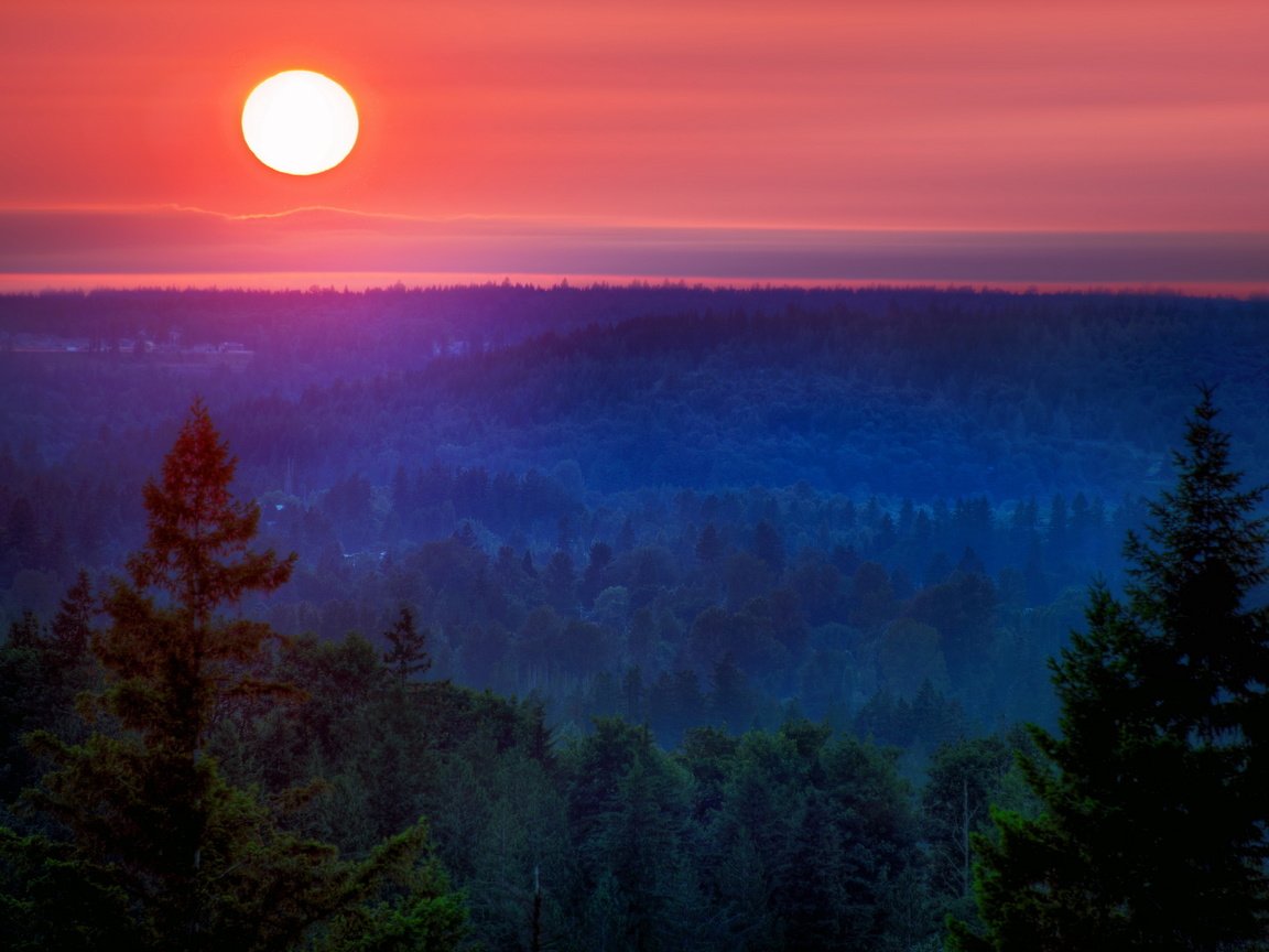 Обои ночь, природа, лес, закат, пейзаж, гора, луна, night, nature, forest, sunset, landscape, mountain, the moon разрешение 2560x1600 Загрузить