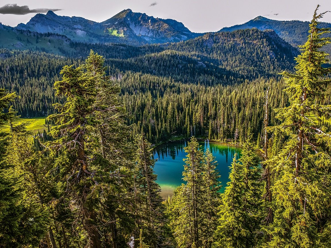 Обои деревья, озеро, горы, лес, канада, mt. rainier national park, trees, lake, mountains, forest, canada разрешение 3005x2000 Загрузить