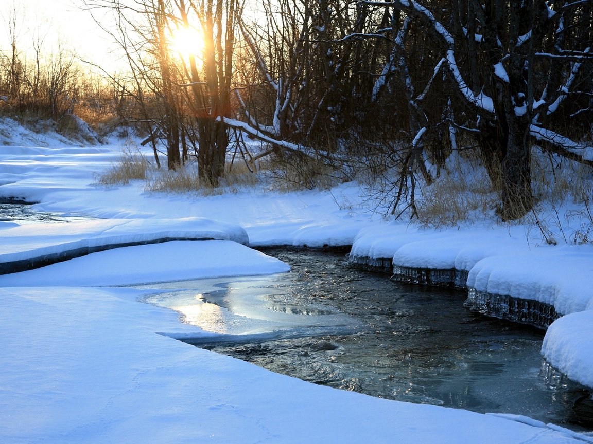 Обои деревья, река, снег, природа, зима, trees, river, snow, nature, winter разрешение 1920x1200 Загрузить