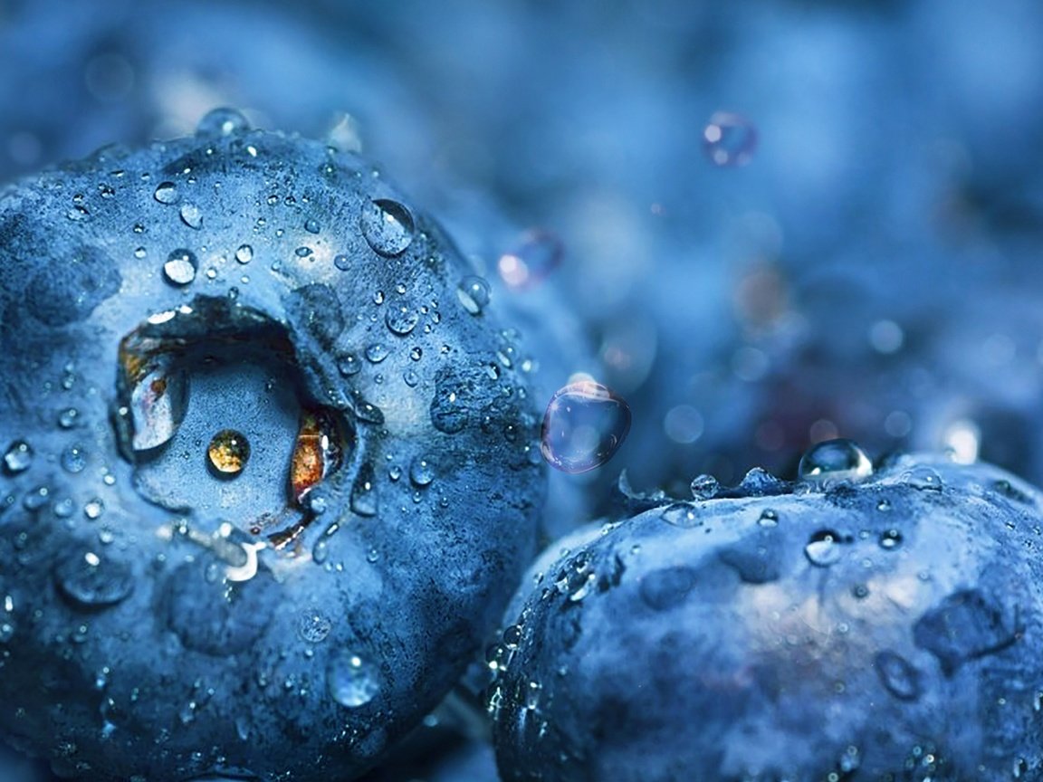 Обои вода, макро, капли, ягоды, черника, dashakern, water, macro, drops, berries, blueberries разрешение 4800x3020 Загрузить