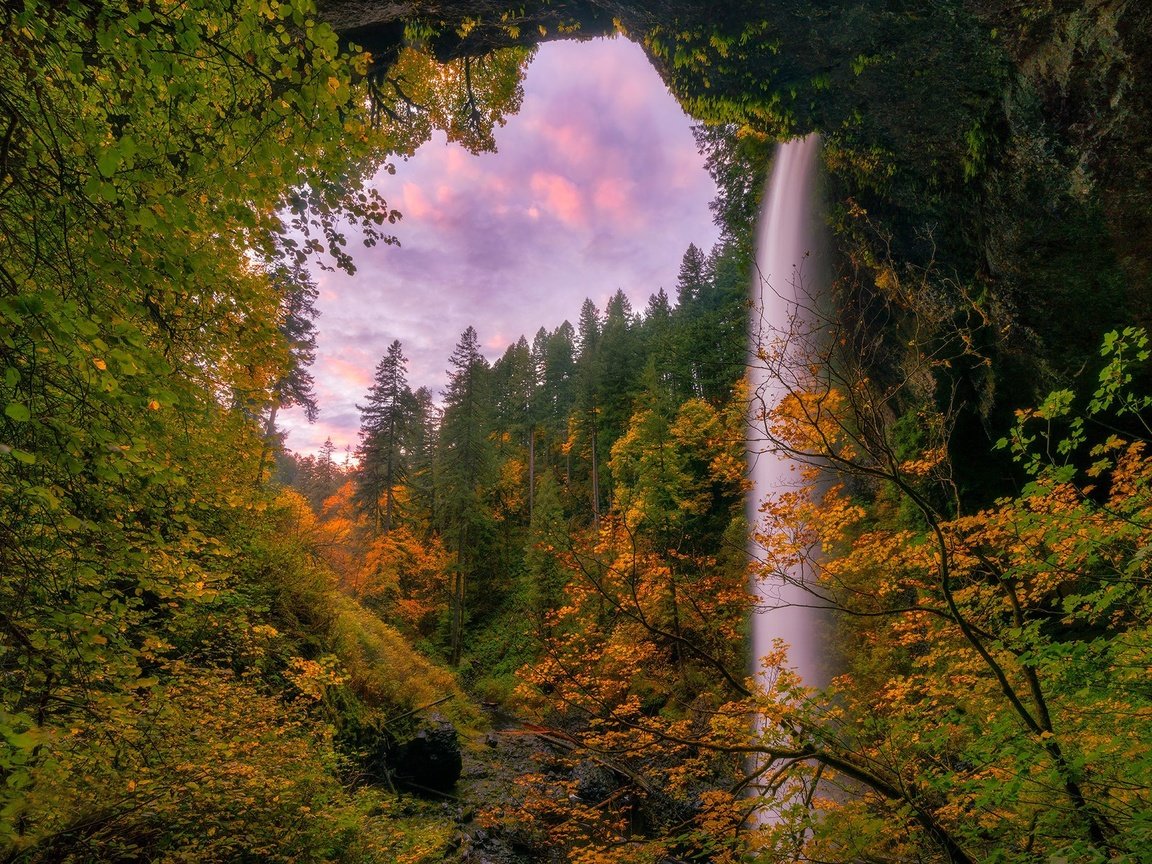 Обои деревья, лес, водопад, осень, орегон, silver falls state park, trees, forest, waterfall, autumn, oregon разрешение 2048x1366 Загрузить