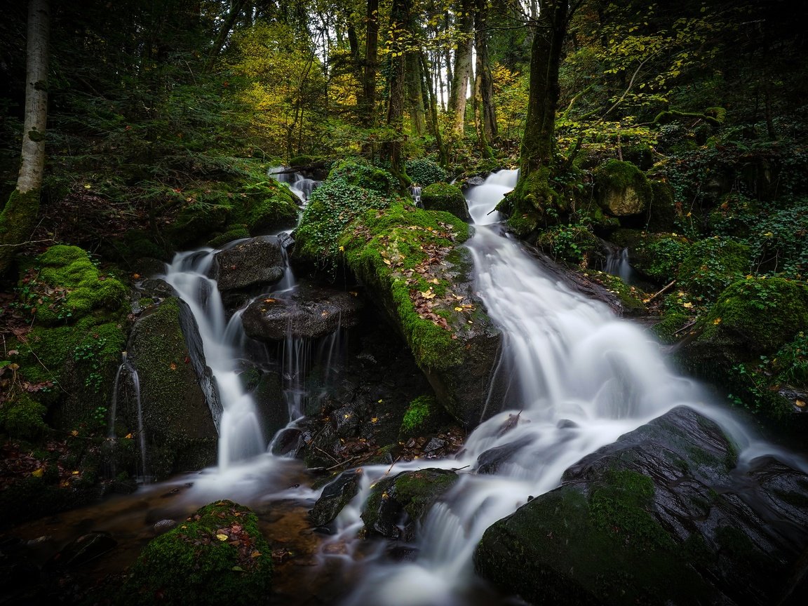 Обои вода, камни, лес, водопад, поток, темный фон, water, stones, forest, waterfall, stream, the dark background разрешение 3840x2160 Загрузить