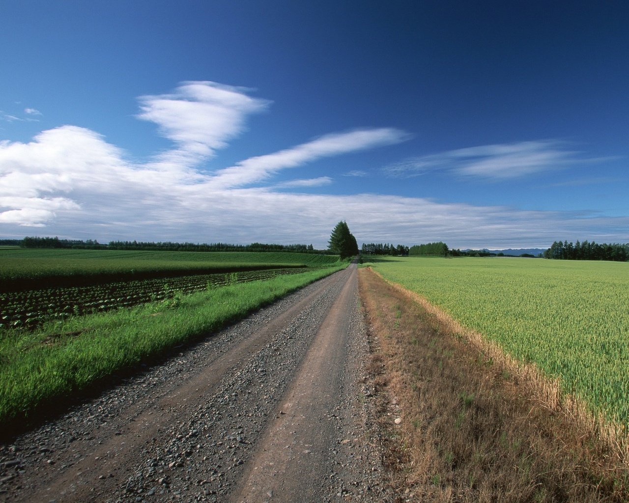 Обои дорога, облака, деревья, поле, road, clouds, trees, field разрешение 1920x1440 Загрузить