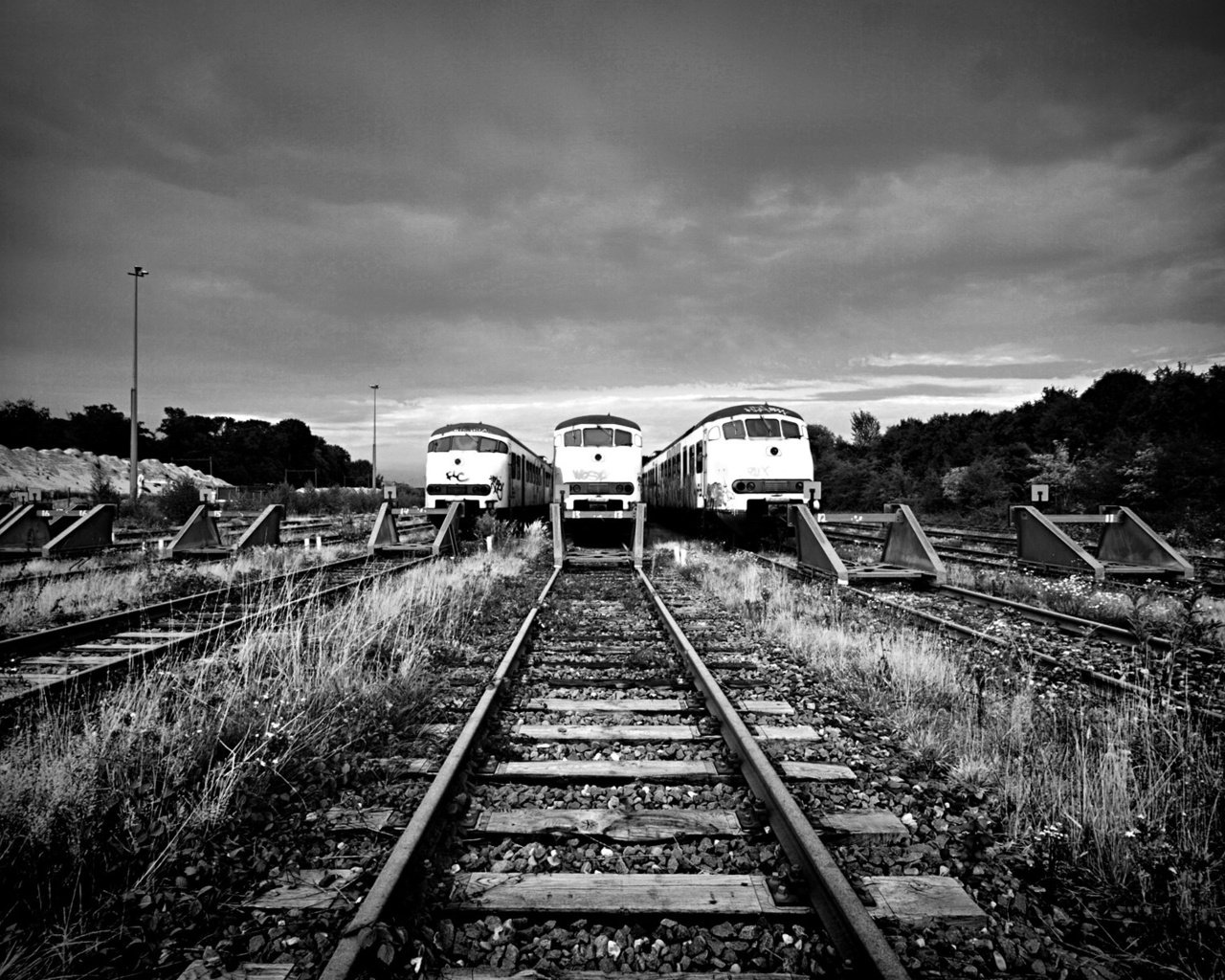 Train white