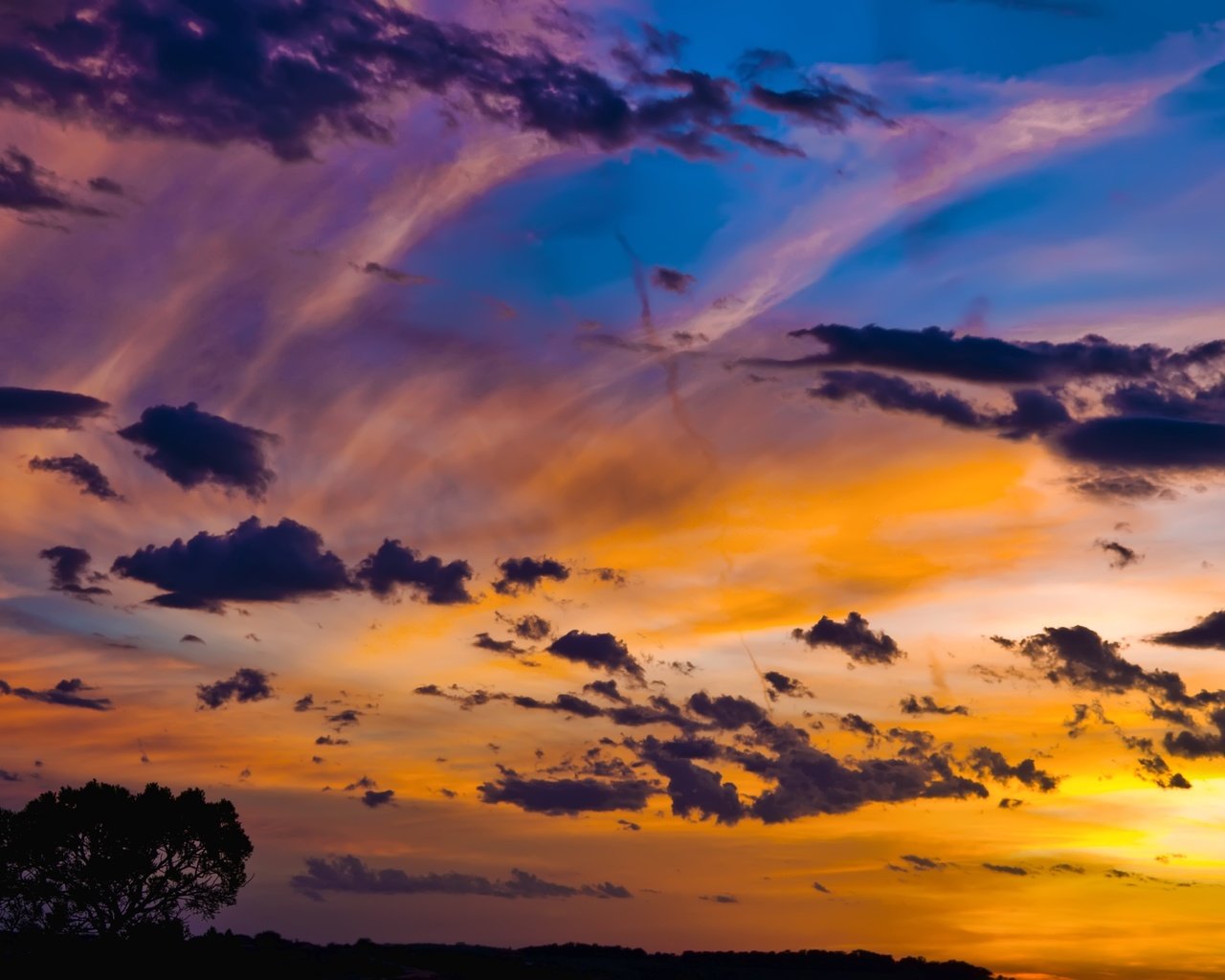 Обои небо, облака, дерево, закат, the sky, clouds, tree, sunset разрешение 4288x2848 Загрузить