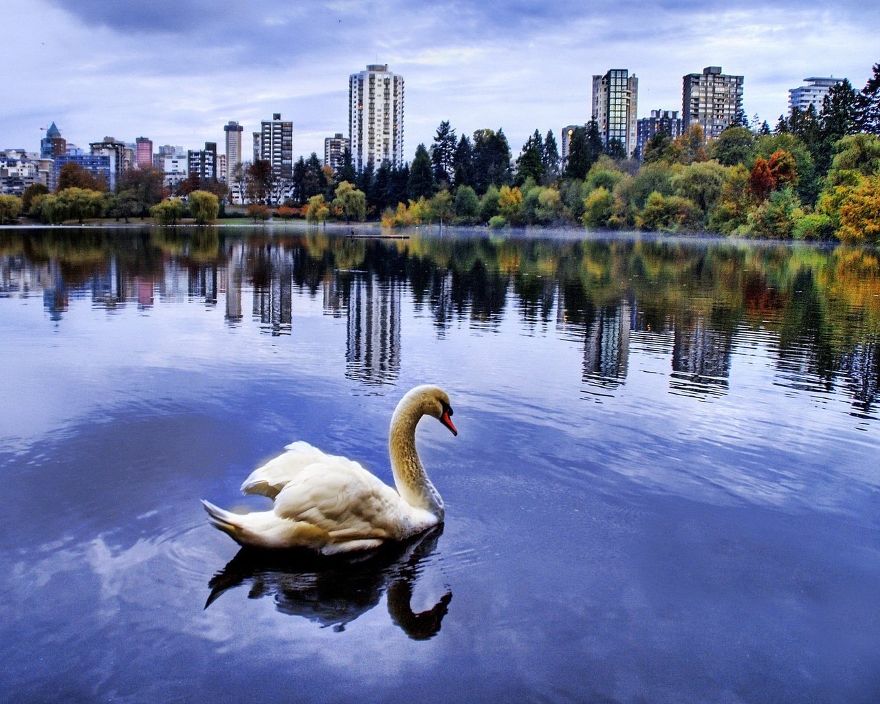 Обои город, пруд, лебедь, the city, pond, swan разрешение 1920x1440 Загрузить