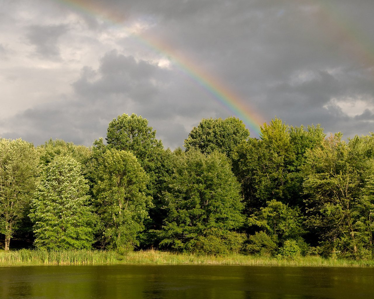 Обои деревья, вода, река, зелень, лес, радуга, trees, water, river, greens, forest, rainbow разрешение 1920x1200 Загрузить