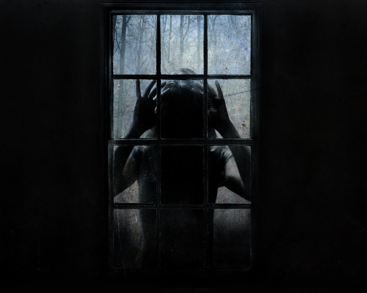 Обои чужой, окно, страх, ужас, stranger, window, fear, horror разрешение 1920x1200 Загрузить