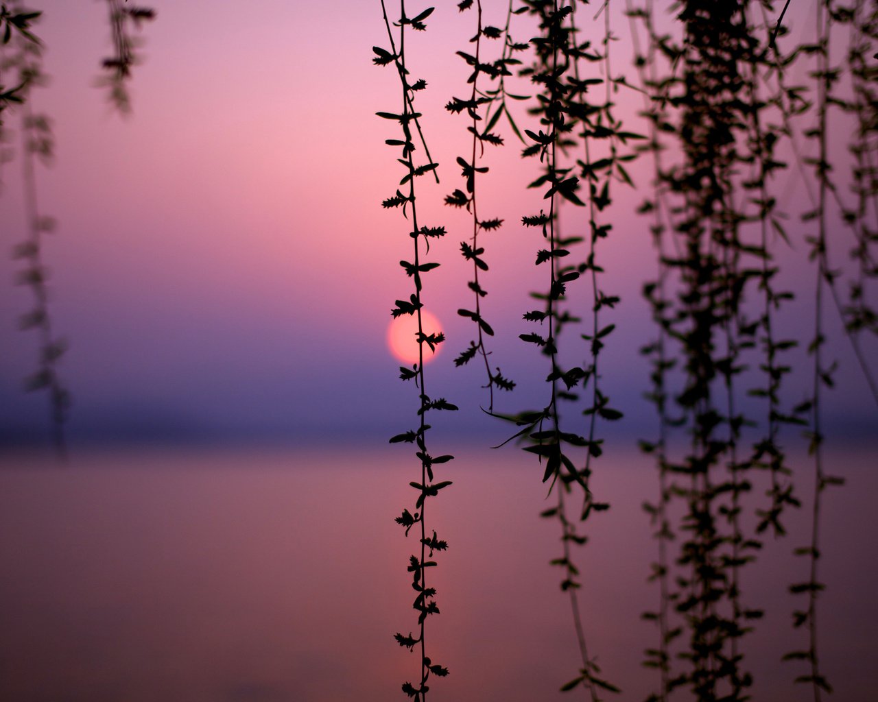 Обои озеро, закат, китай, lake, sunset, china разрешение 2560x1600 Загрузить