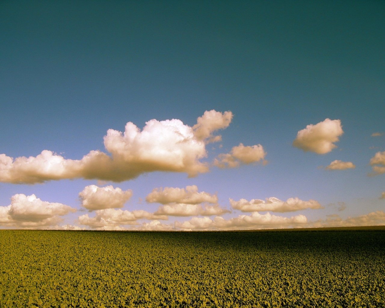 Обои облака, поле, цвет, clouds, field, color разрешение 1920x1440 Загрузить