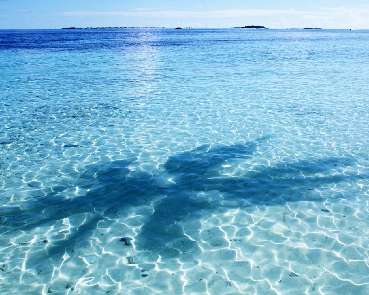 Обои небо, вода, синий, горизонт, тень, пальма, the sky, water, blue, horizon, shadow, palma разрешение 1920x1200 Загрузить