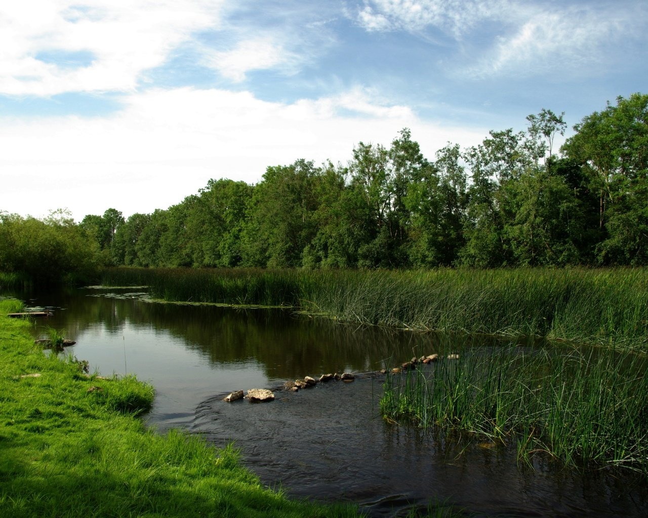 Обои река, луг, перекат, river, meadow, roll разрешение 3000x2000 Загрузить