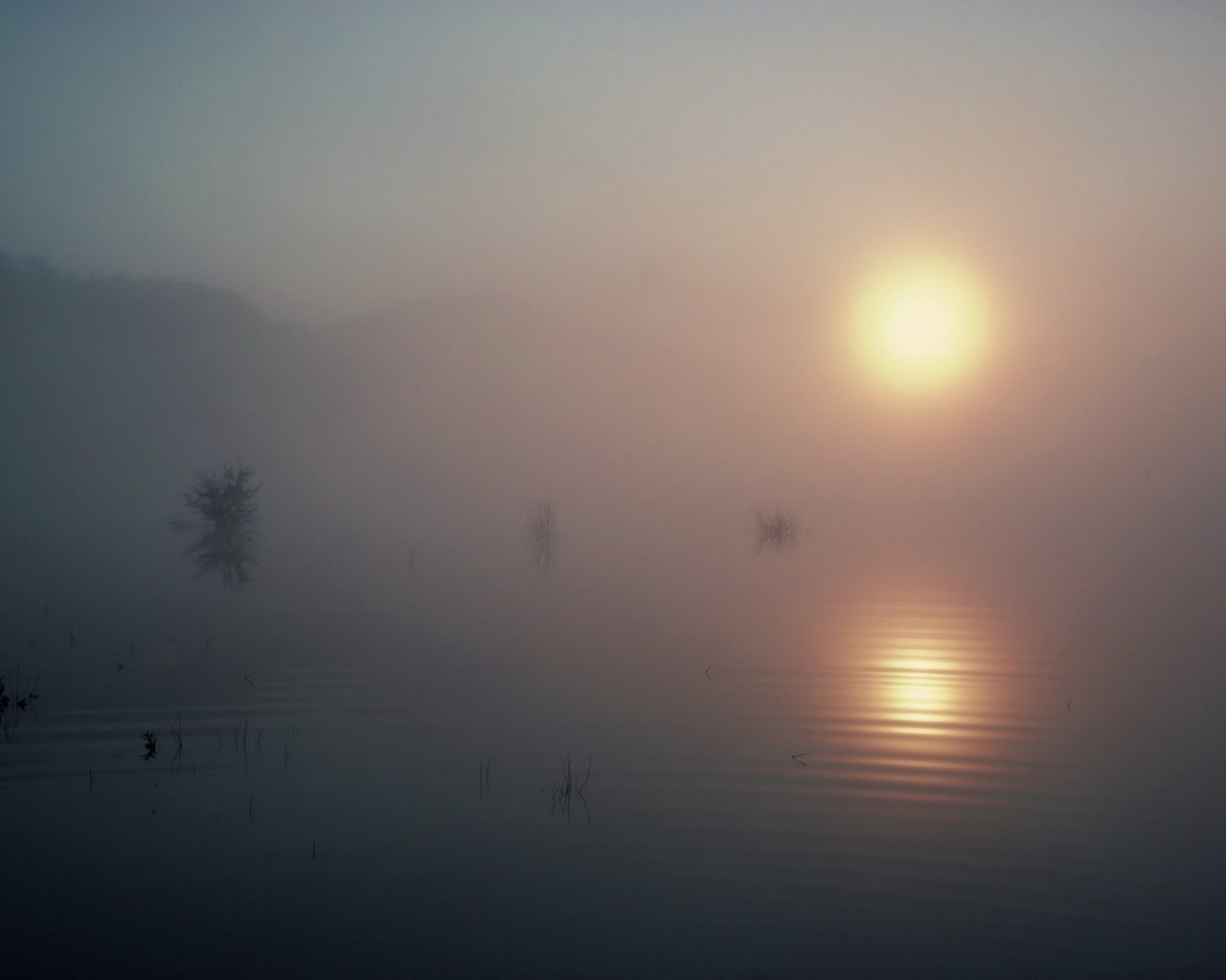 Обои озеро, солнце, туман, lake, the sun, fog разрешение 1920x1440 Загрузить