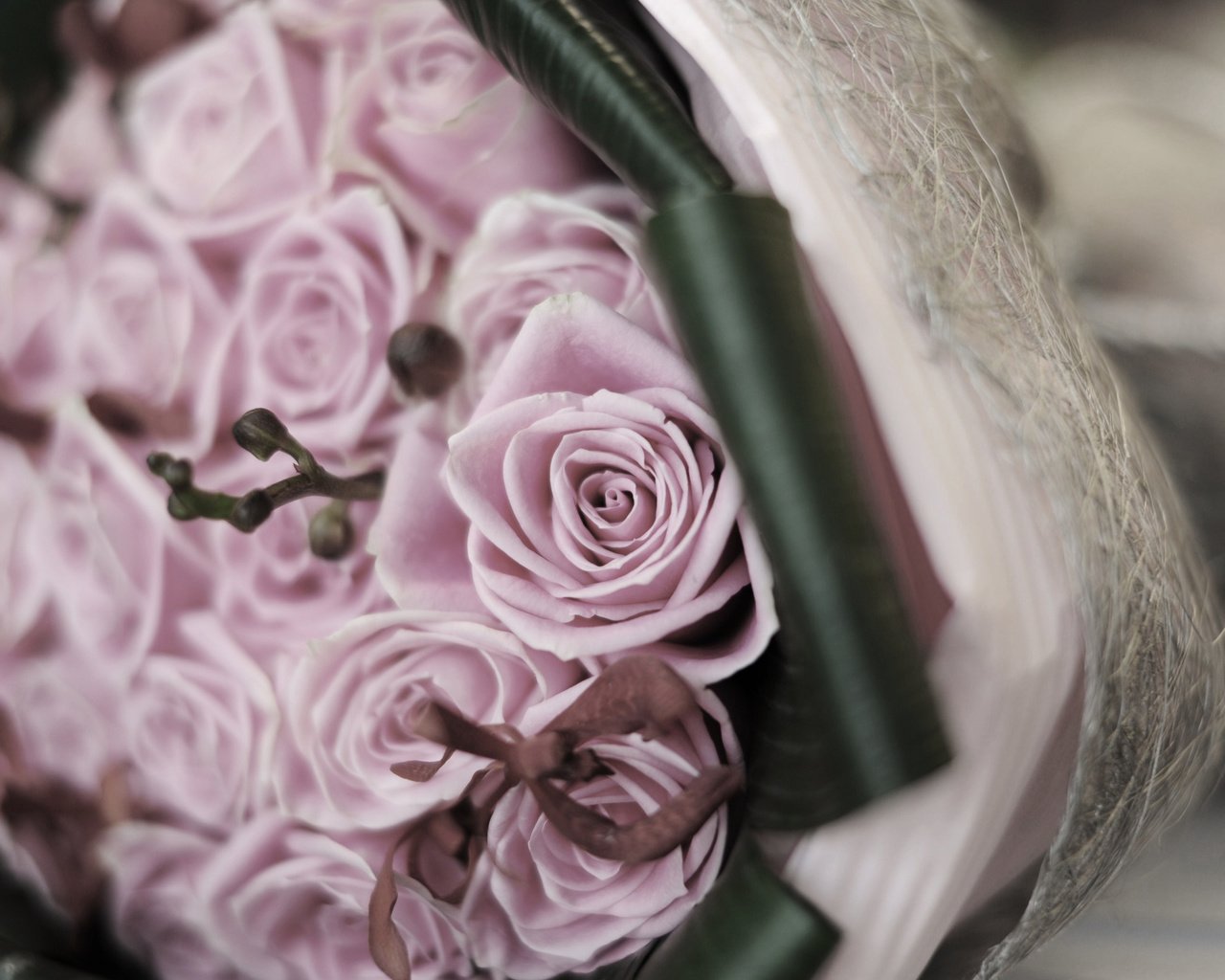 Обои цветы, розы, букет, свадебный букет, flowers, roses, bouquet, wedding bouquet разрешение 2560x1600 Загрузить