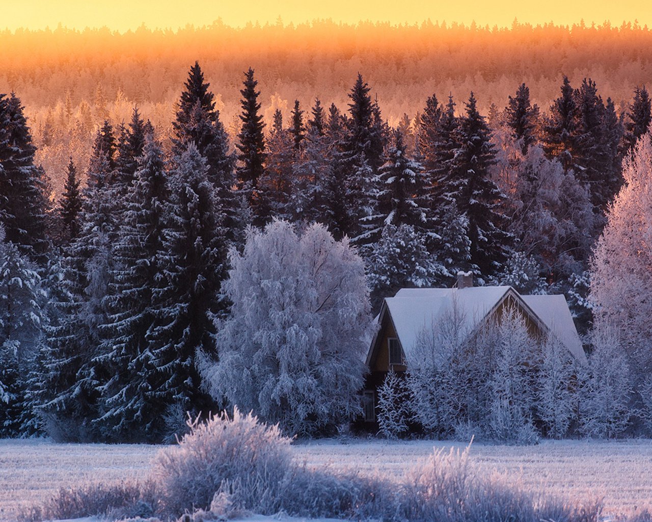 Обои природа, лес, зима, дом, nature, forest, winter, house разрешение 1920x1200 Загрузить