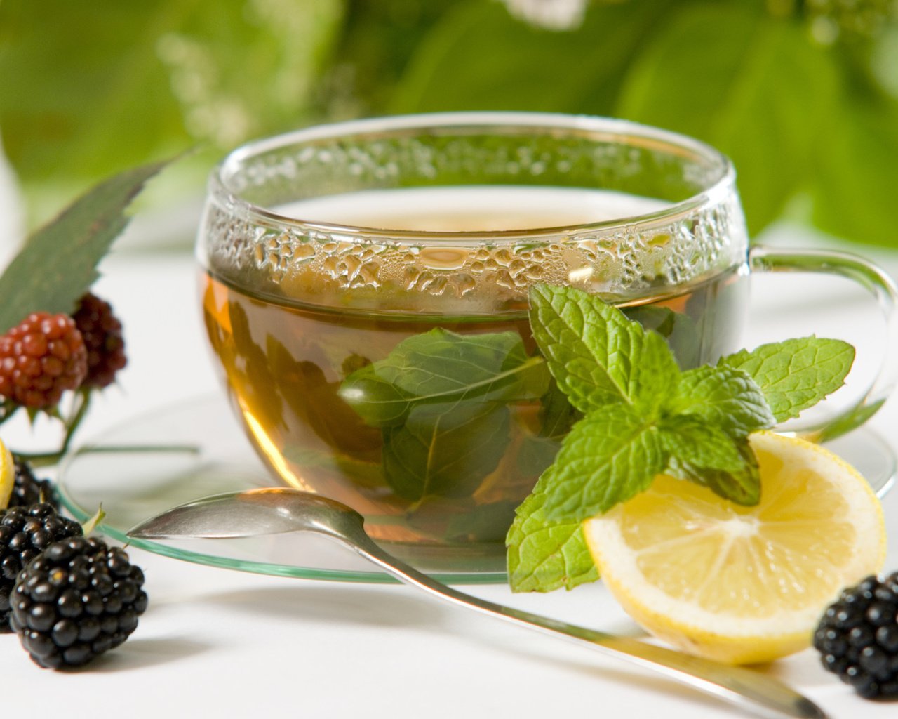 Обои зелёный, напиток, чай, чаек, чай.лимон, мята.ежевика, green, drink, tea, gulls, tea.lemon, mint.blackberry разрешение 1920x1285 Загрузить