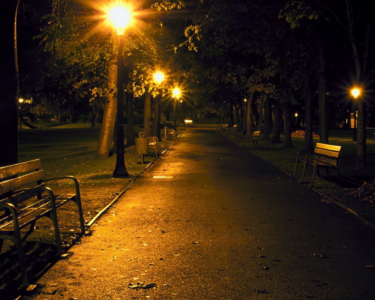 Обои ночь, фонари, парк, скамейка, аллея, night, lights, park, bench, alley разрешение 1920x1200 Загрузить