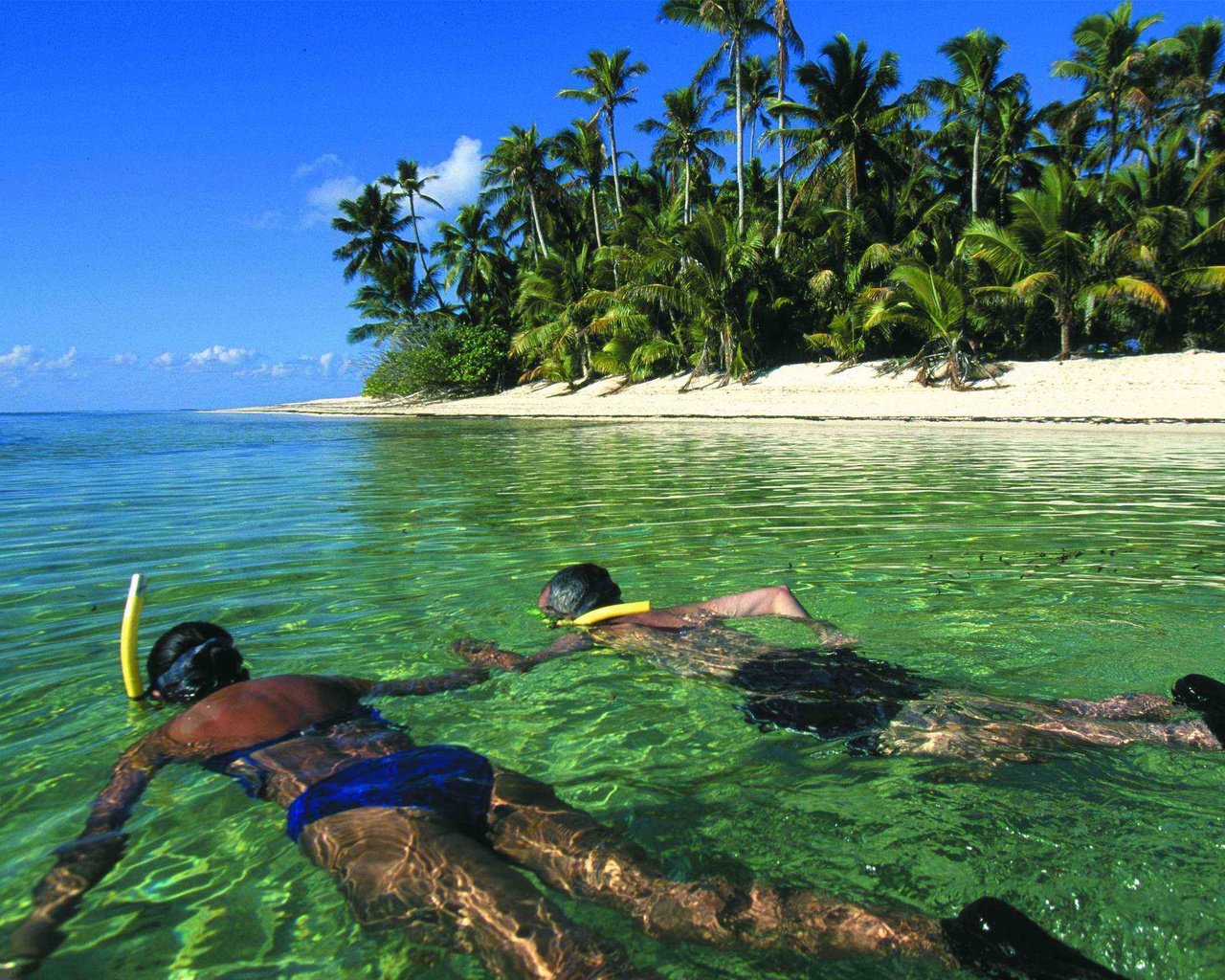 Обои пляж, пальмы, тропики, мальдивы, дайвинг, beach, palm trees, tropics, the maldives, diving разрешение 2689x1728 Загрузить
