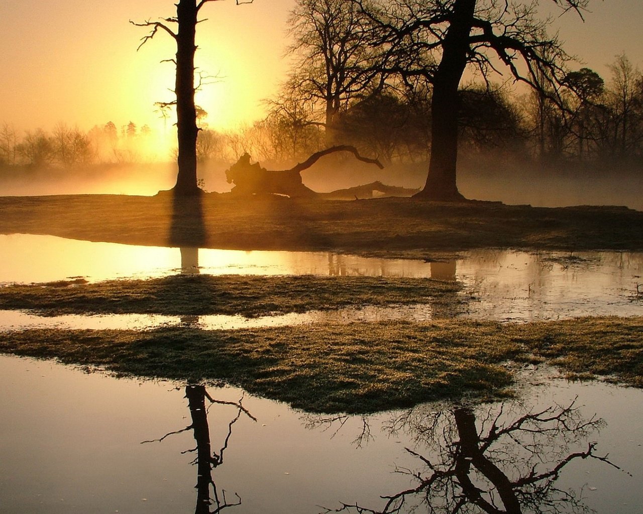 Обои деревья, болото, закат, отражение, пейзаж, осень, trees, swamp, sunset, reflection, landscape, autumn разрешение 1920x1080 Загрузить