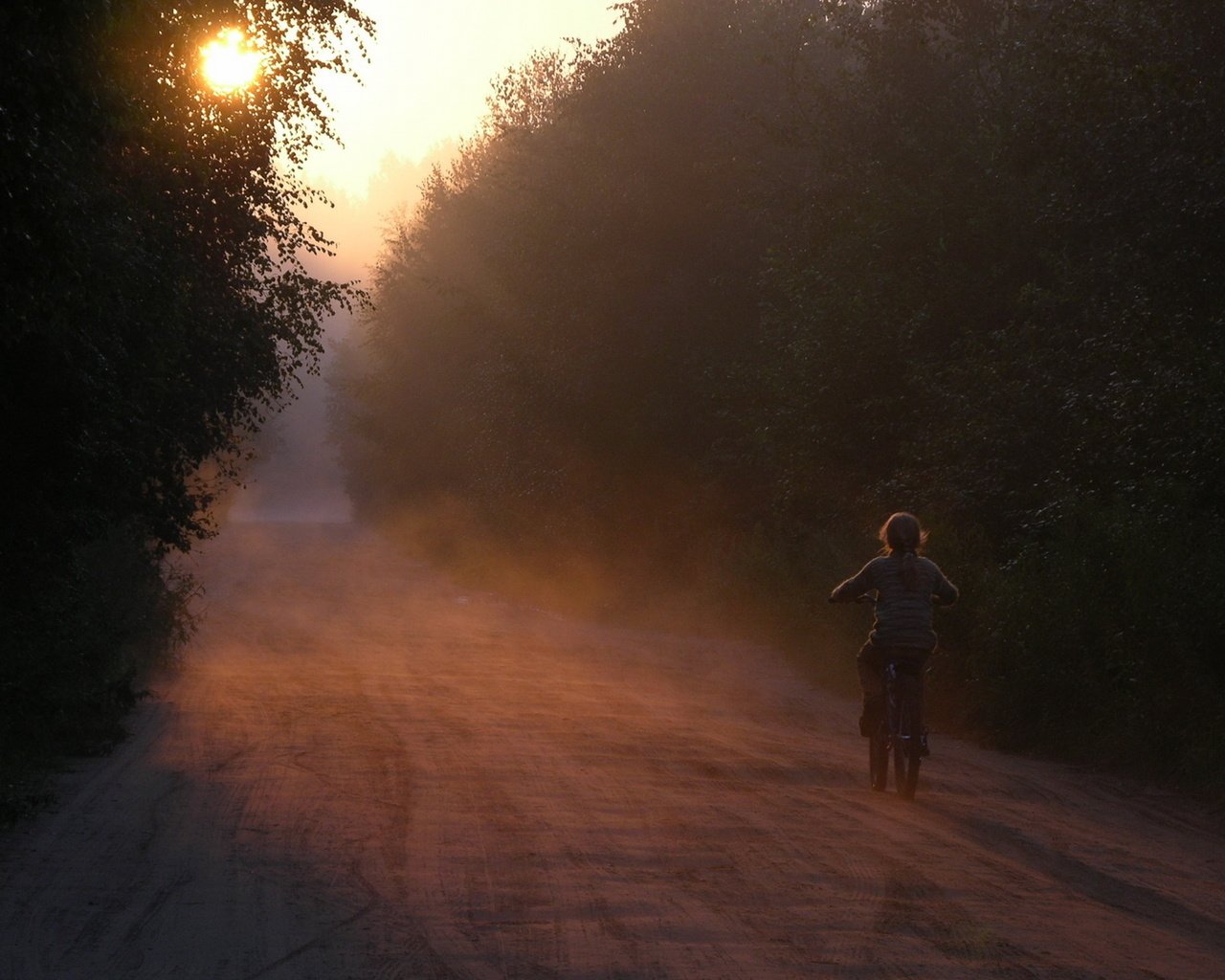 Обои дорога, велосипед, лес, лез, утро, devochka, utro, туман, velosiped, tuman, рассвет, солнечный свет, дети, девочка, ребенок, road, bike, forest, les, morning, fog, dawn, sunlight, children, girl, child разрешение 1920x1200 Загрузить