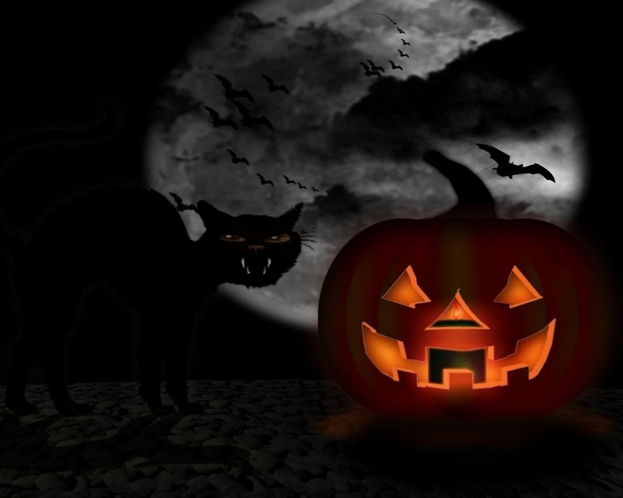 Обои тыквы и кот на фоне луны, pumpkin and cat on moon background разрешение 2560x1440 Загрузить