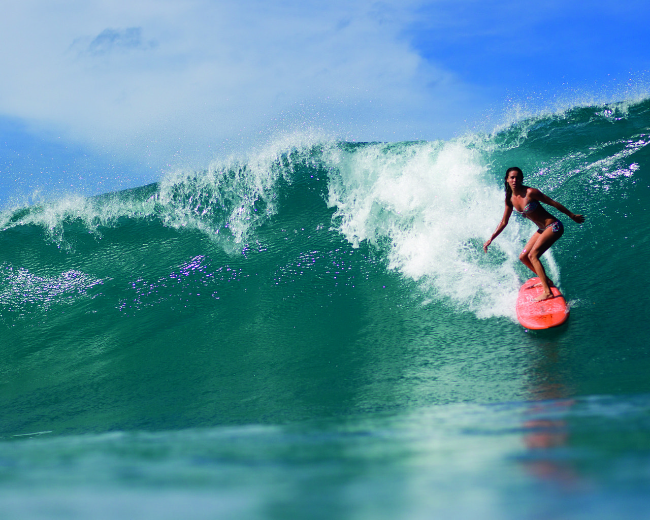 Обои девушка, серфинг, girl, surfing разрешение 1920x1080 Загрузить