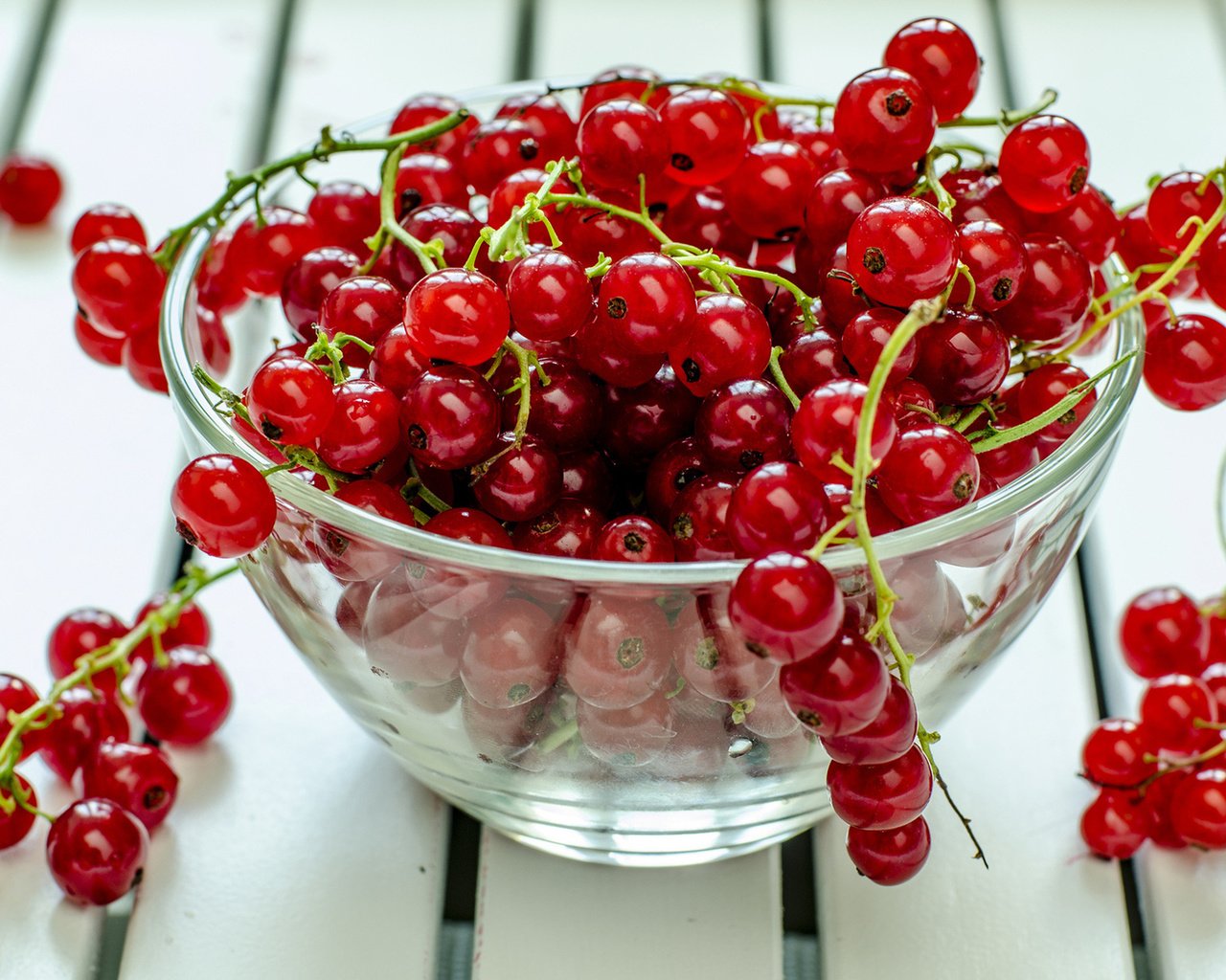 Обои красная, ягоды, тарелка, смородина, red, berries, plate, currants разрешение 1920x1200 Загрузить
