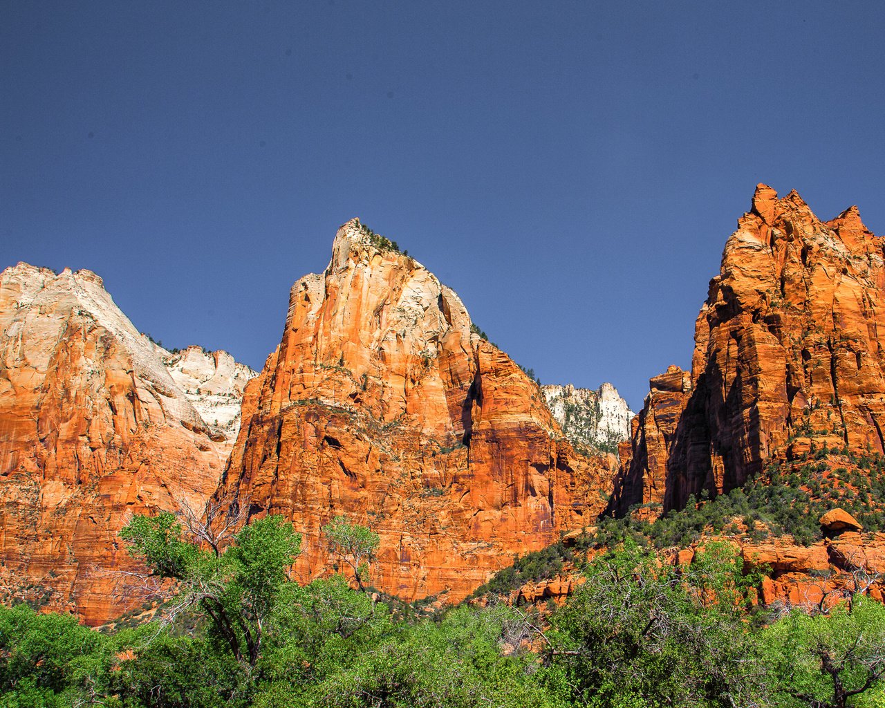 Обои горы, сша, юта, zion national park, национальный парк, штат юта, mountains, usa, utah, national park разрешение 1920x1200 Загрузить