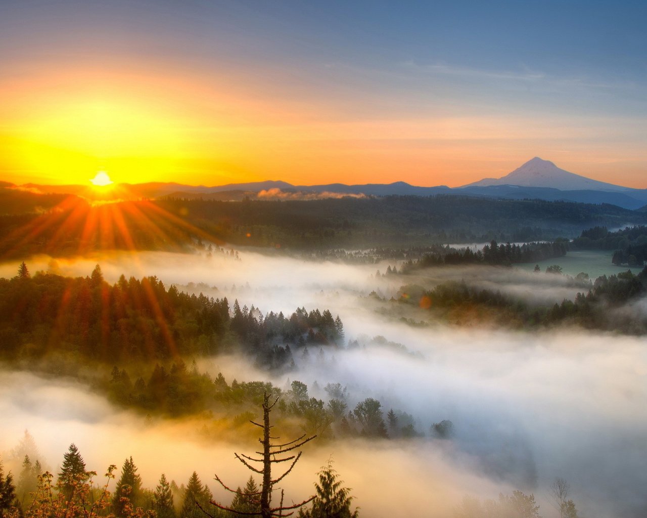 Обои горы, природа, лес, туман, mountains, nature, forest, fog разрешение 2560x1600 Загрузить