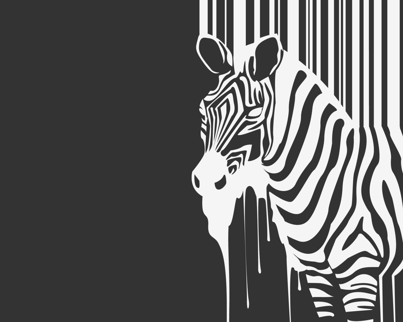 Обои зебра, животное, ч.б., zebra, animal, h. b. разрешение 2560x1600 Загрузить
