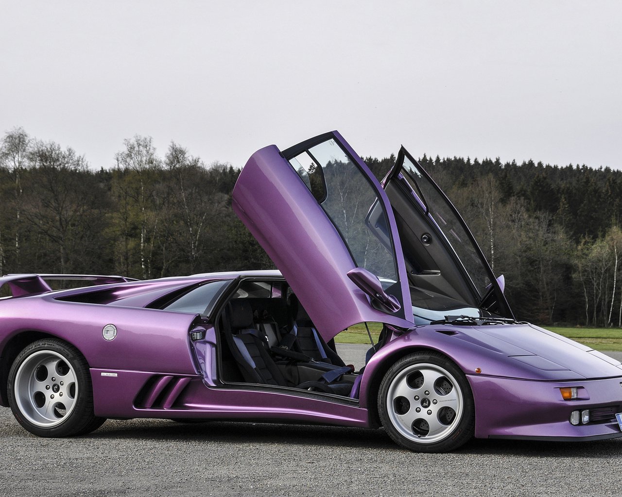 Обои ламборгини, диабло, se30,     дерево, лиловая, lamborghini, diablo, tree, purple разрешение 1920x1200 Загрузить