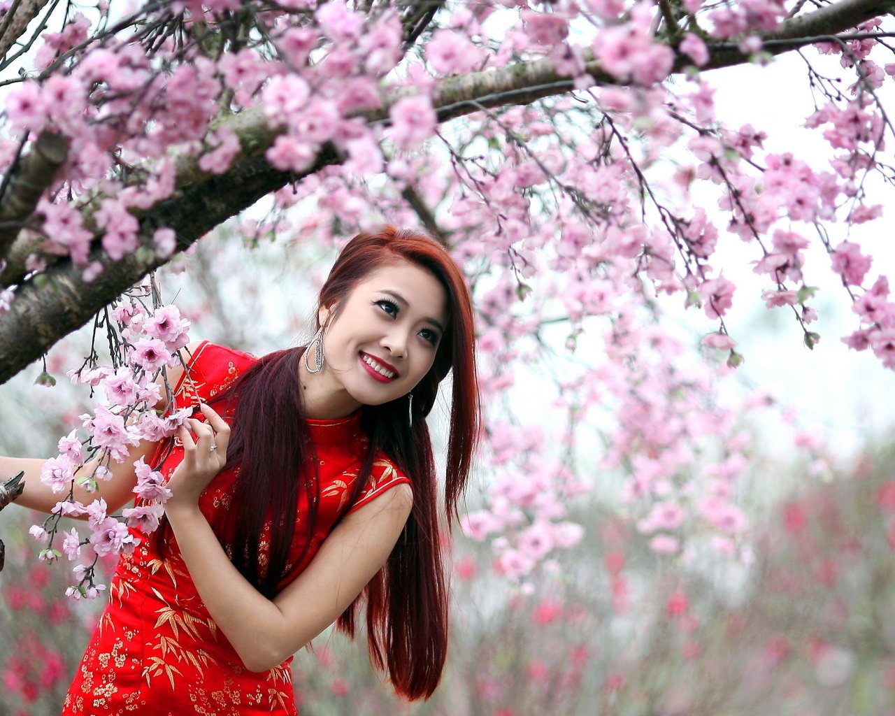 Обои девушка, фон, взгляд, весна, азиатка, girl, background, look, spring, asian разрешение 2560x1440 Загрузить