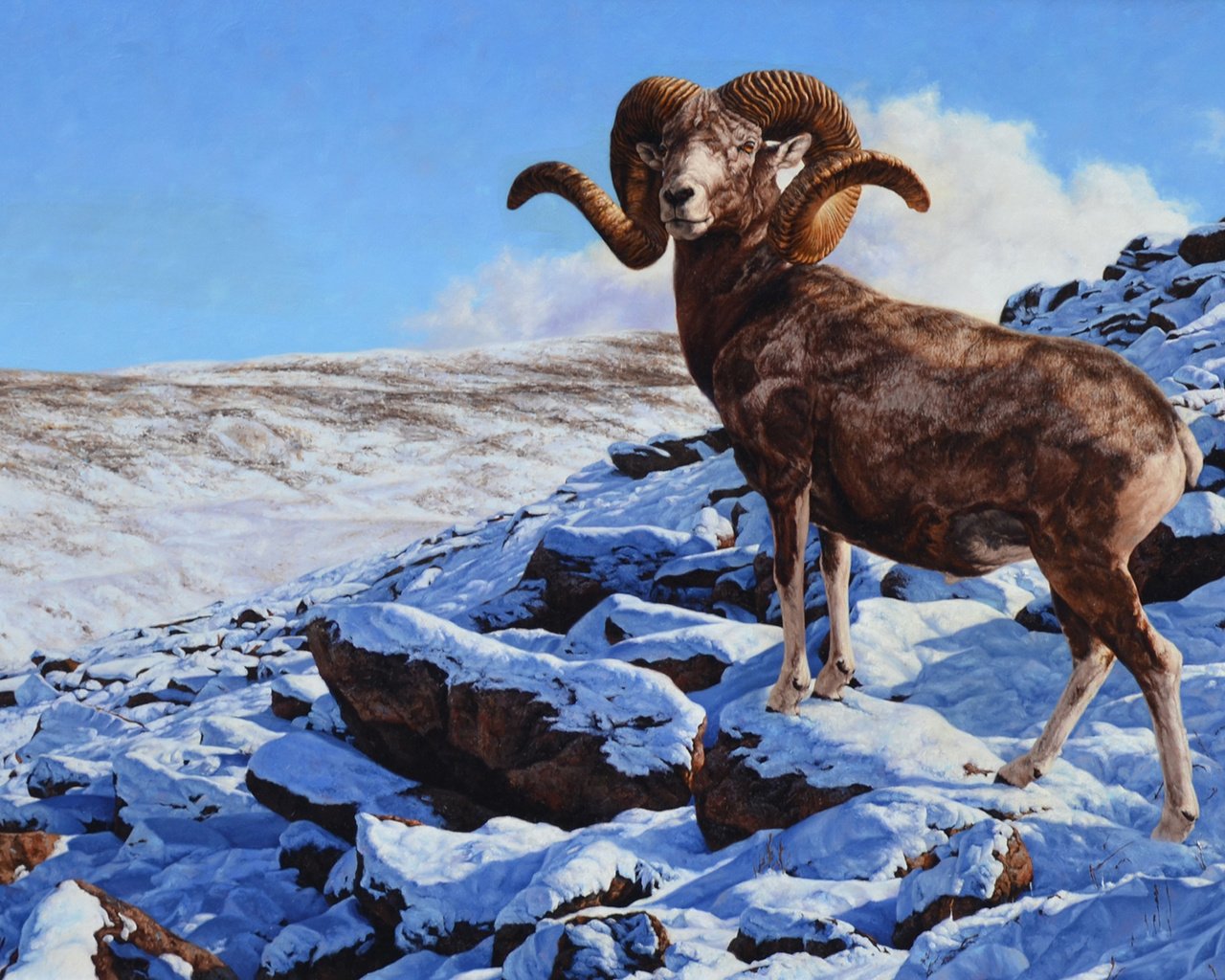 Обои горы, рога, козел, mountains, horns, goat разрешение 2048x1202 Загрузить