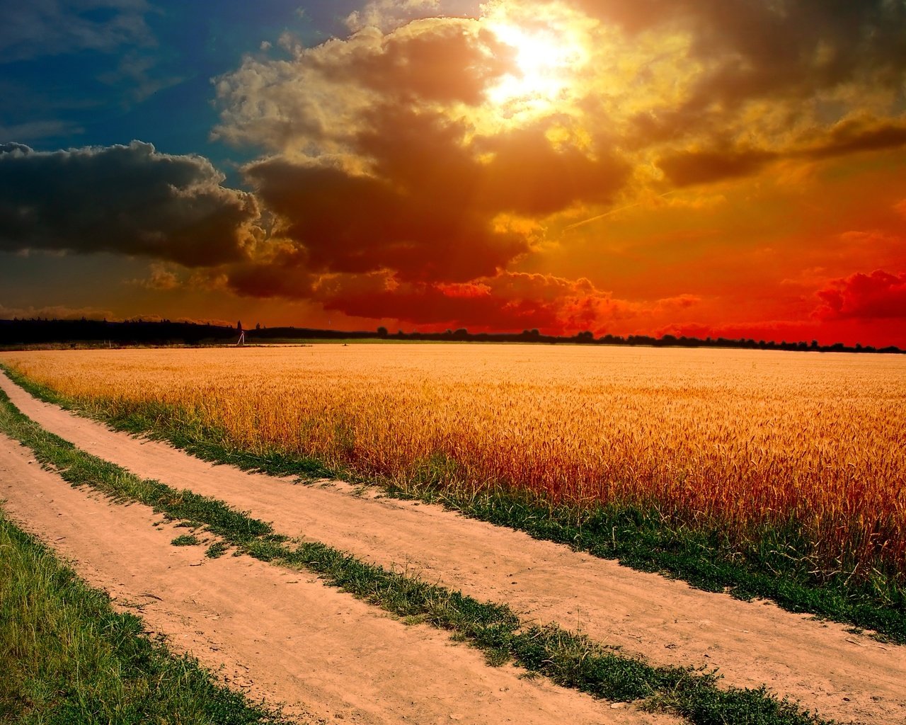 Обои небо, трава, облака, солнце, закат, поле, колосья, the sky, grass, clouds, the sun, sunset, field, ears разрешение 2560x1600 Загрузить