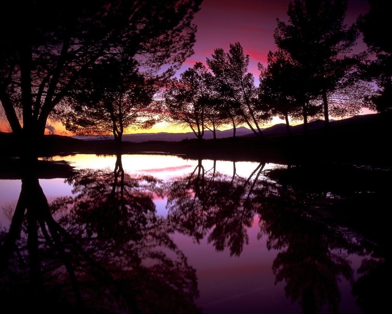 Обои деревья, вода, вечер, озеро, закат, отражение, силуэты, trees, water, the evening, lake, sunset, reflection, silhouettes разрешение 1920x1200 Загрузить