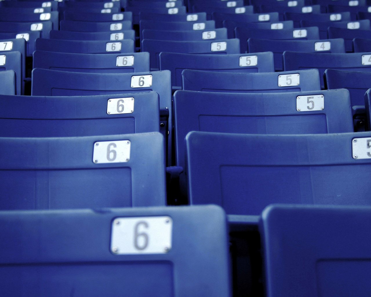 Обои синий, скамейки, стадион, стулья, лавочки, кресла, сидения, лавки, blue, benches, stadium, chairs, seat, shop разрешение 2560x1600 Загрузить