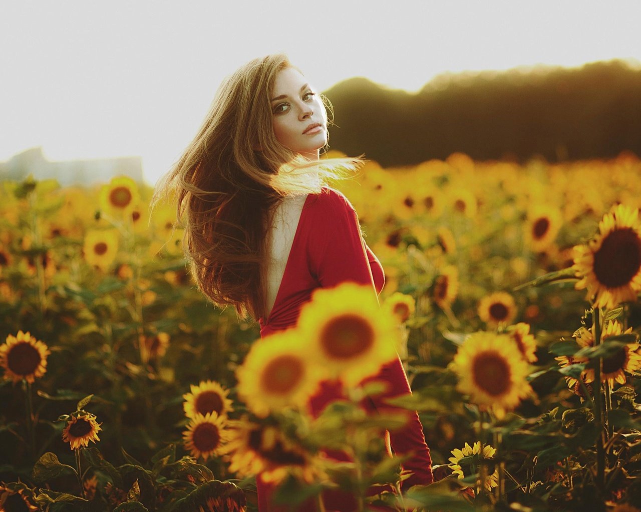 Обои девушка, лето, взгляд, подсолнухи, красное платье, girl, summer, look, sunflowers, red dress разрешение 2048x1365 Загрузить