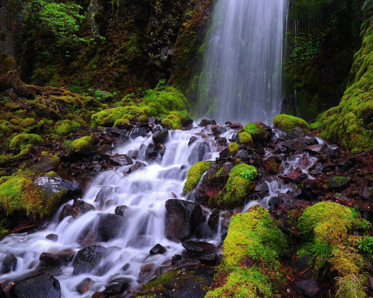 Обои природа, камни, водопад, мох, nature, stones, waterfall, moss разрешение 2048x1360 Загрузить